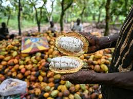 De la Côte d’Ivoire au Canada, tour d’actualité des médias francophones